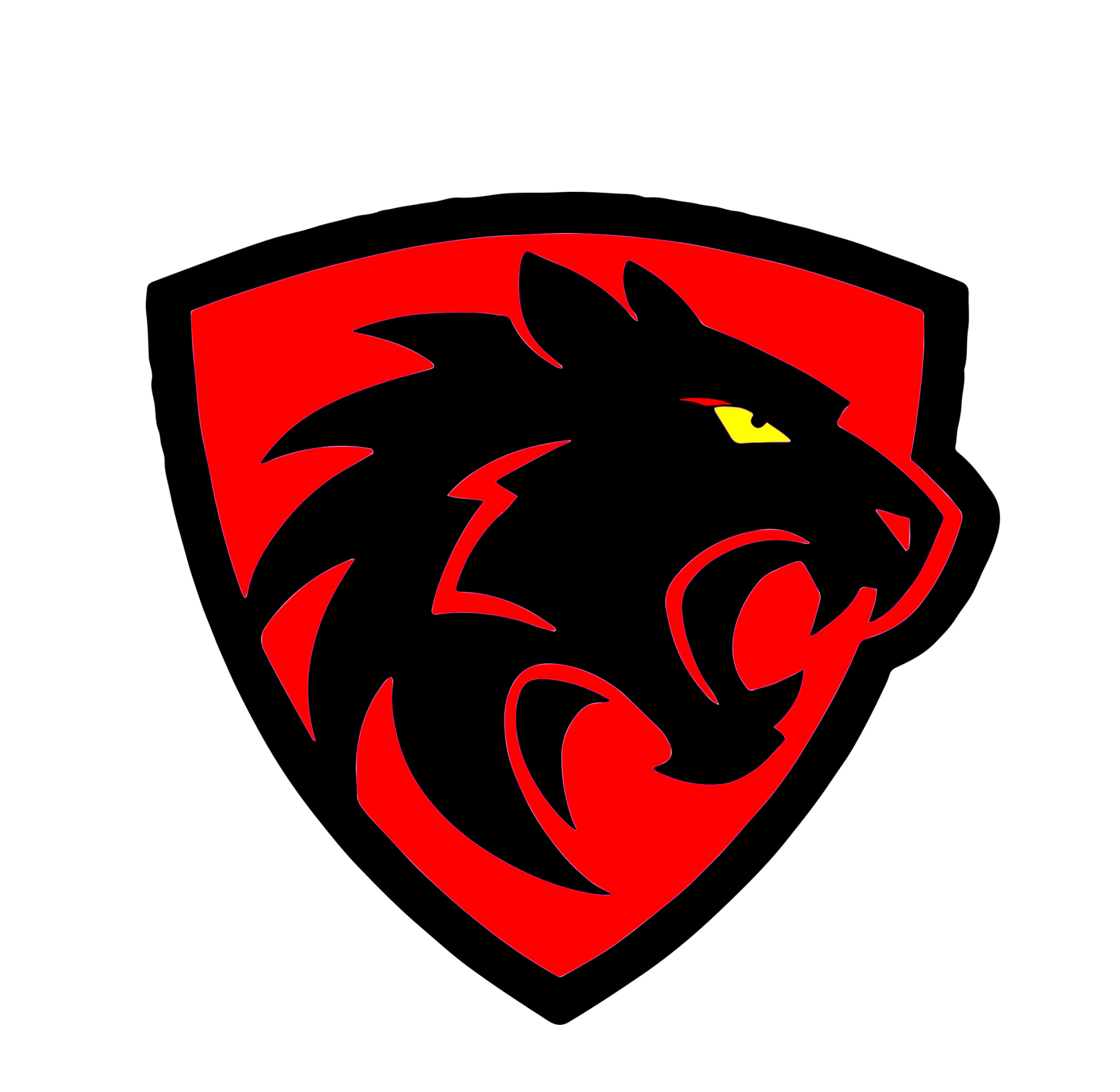 blackPanther Projekt
